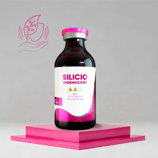 Silicio Organico